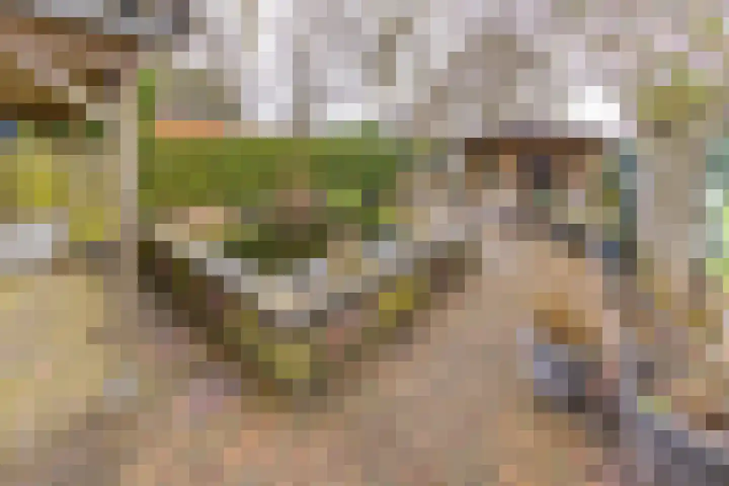Kastanjelaan 13 Stadskanaal thumbnail 36