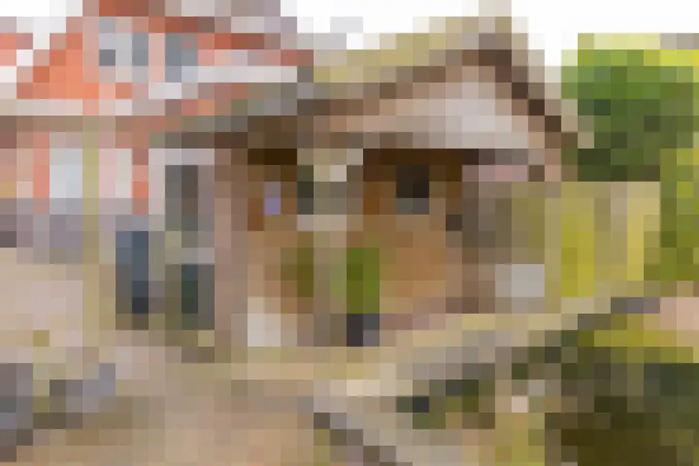 Kastanjelaan 13 Stadskanaal thumbnail 37