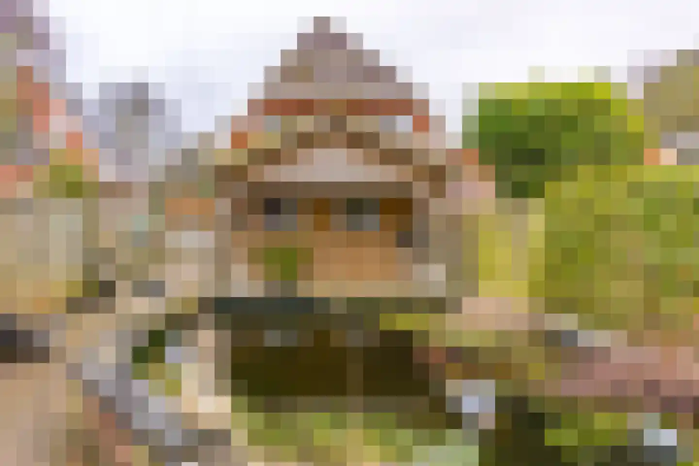 Kastanjelaan 13 Stadskanaal thumbnail 38