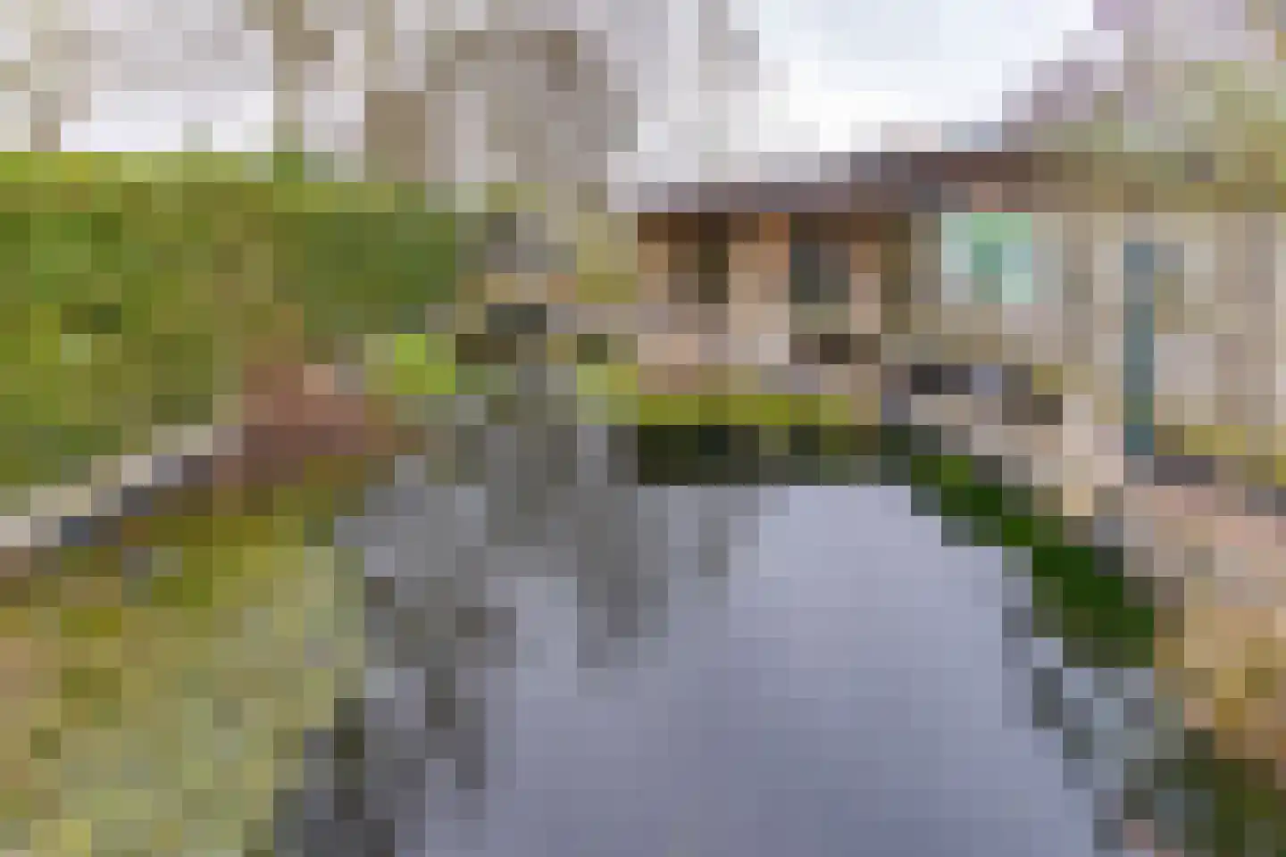 Kastanjelaan 13 Stadskanaal thumbnail 39