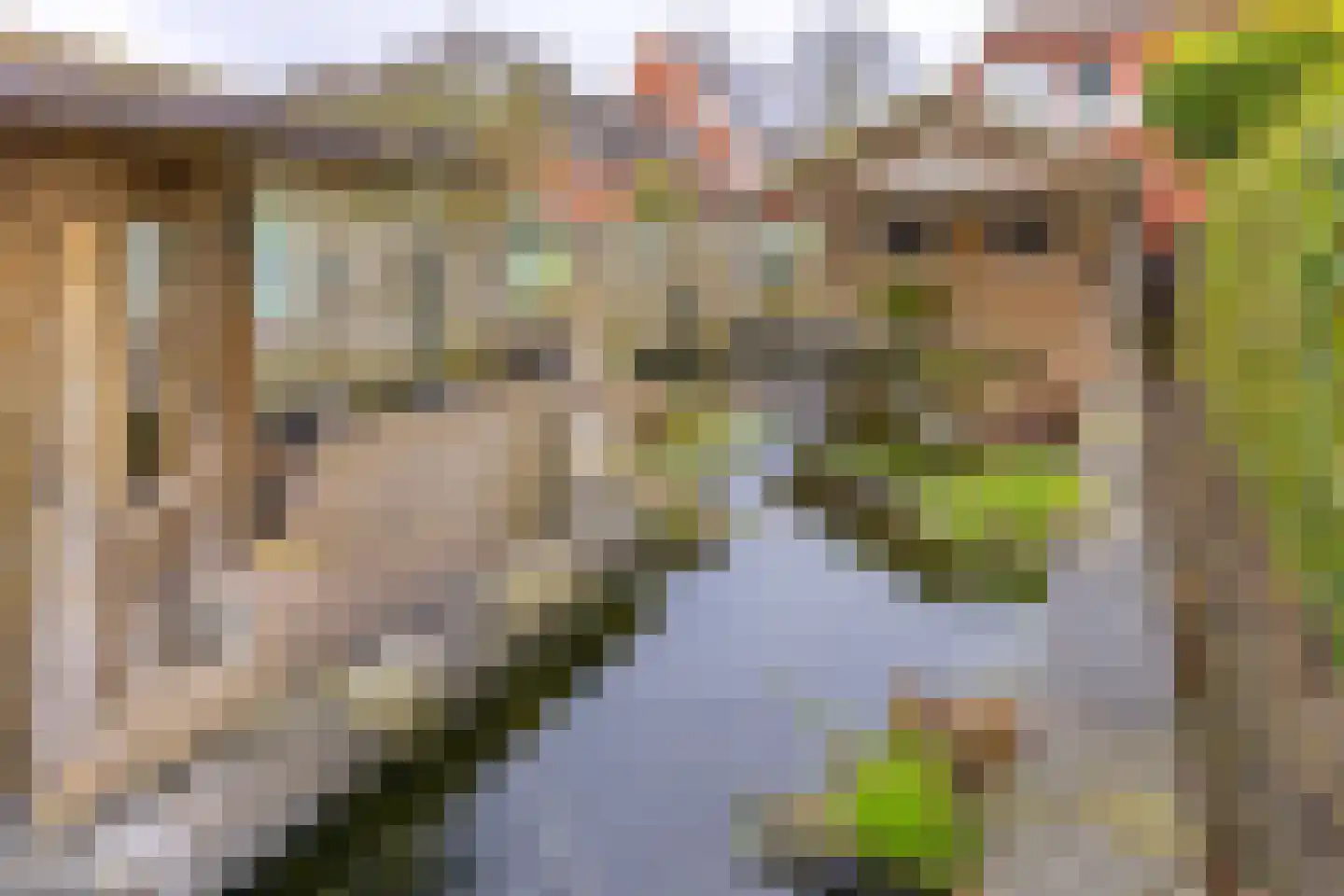 Kastanjelaan 13 Stadskanaal thumbnail 41