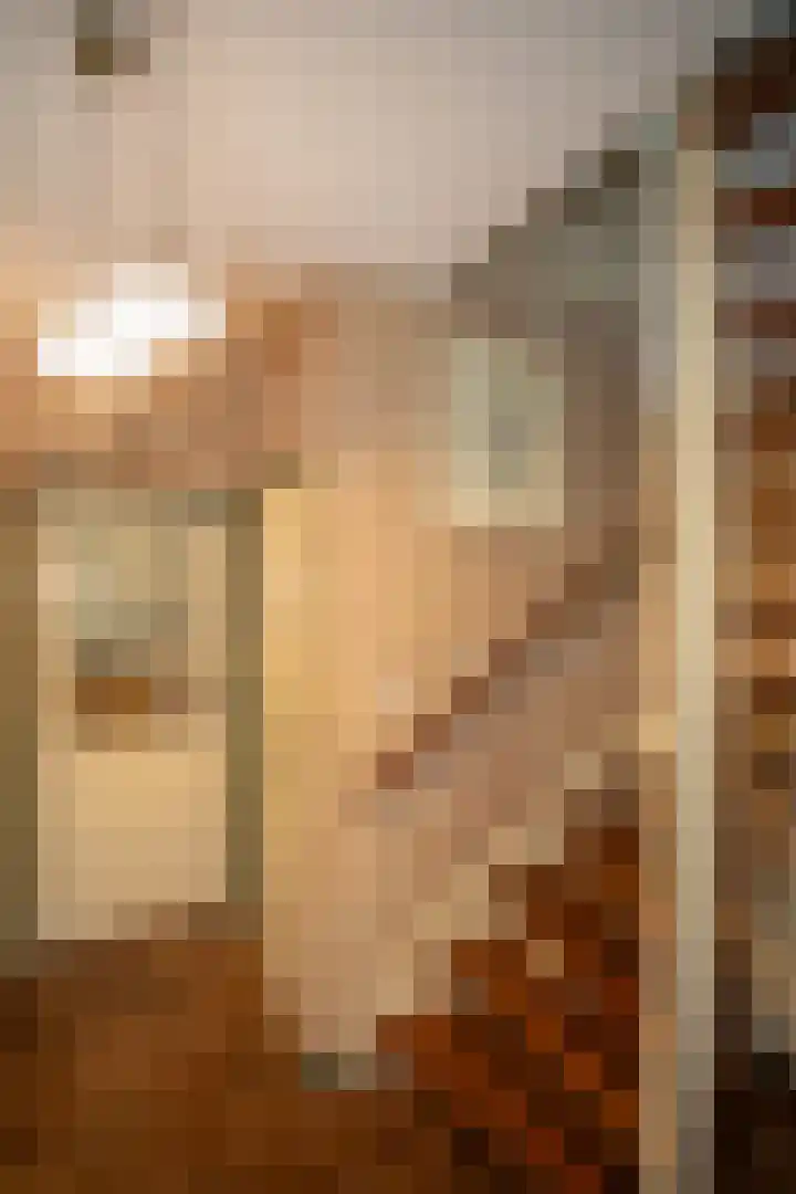 Kastanjelaan 13 Wierden thumbnail 25