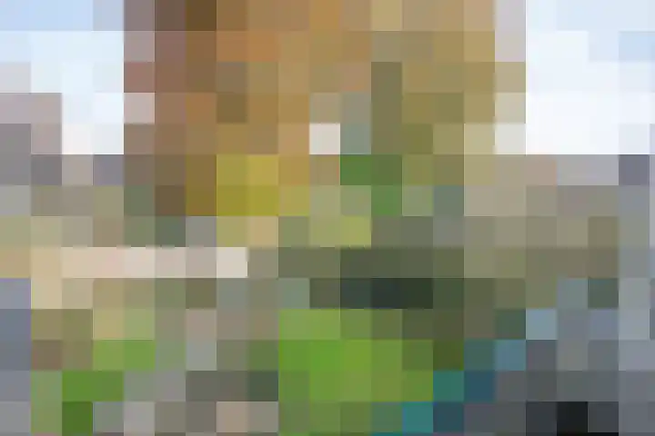 Kastanjelaan 13 Wierden thumbnail 32