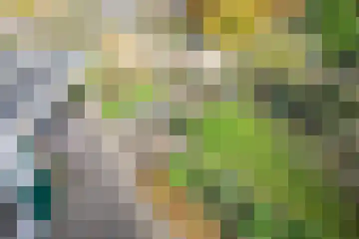 Kastanjelaan 13 Wierden thumbnail 33