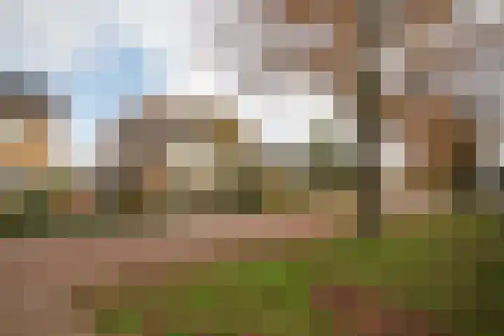 Kastanjelaan 13 Wierden thumbnail 4