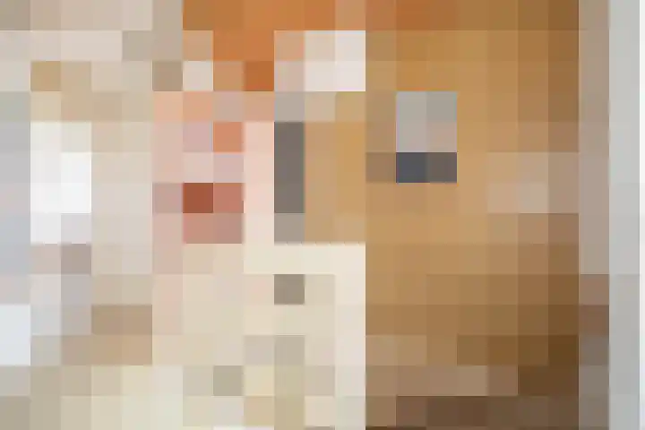 Kastanjelaan 13 Wierden thumbnail 41