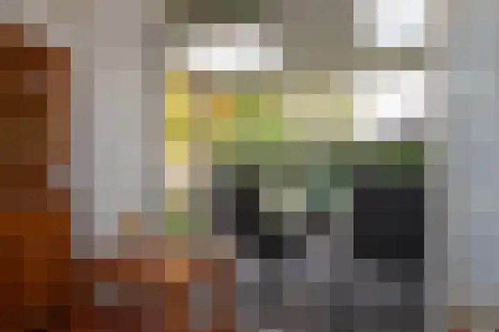 Kastanjelaan 13 Wierden thumbnail 47