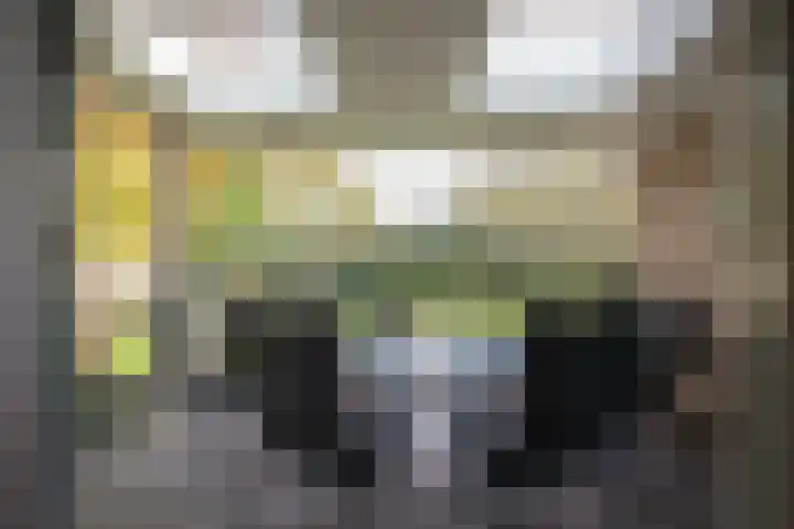 Kastanjelaan 13 Wierden thumbnail 48