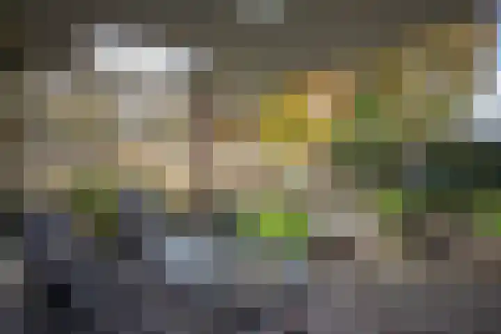 Kastanjelaan 13 Wierden thumbnail 49