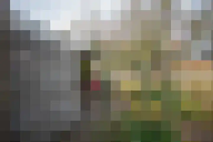 Kastanjelaan 13 Wierden thumbnail 50