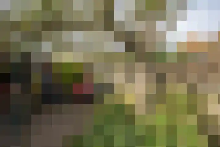 Kastanjelaan 13 Wierden thumbnail 51