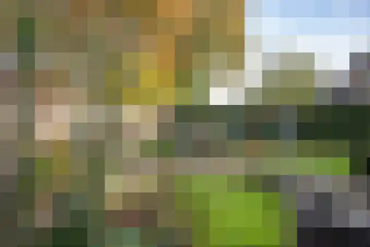 Kastanjelaan 13 Wierden thumbnail 52