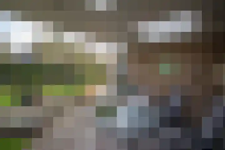 Kastanjelaan 13 Wierden thumbnail 53