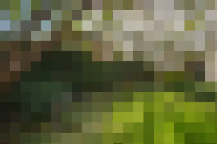 Kastanjelaan 13 Wierden thumbnail 55