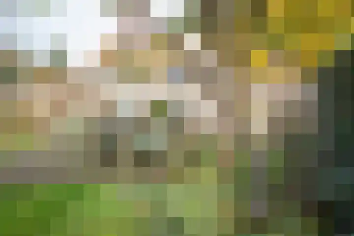 Kastanjelaan 13 Wierden thumbnail 56