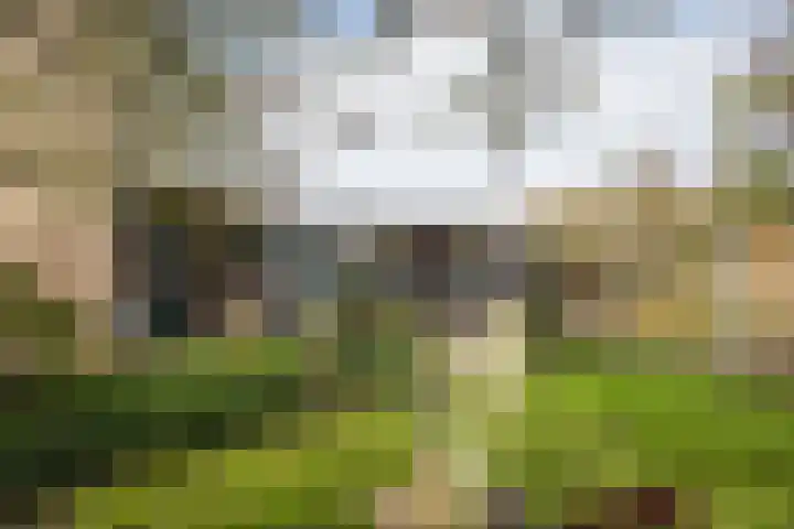 Kastanjelaan 13 Wierden thumbnail 57