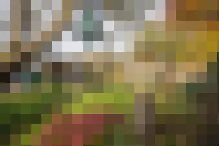Kastanjelaan 13 Wierden thumbnail 58