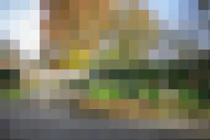 Kastanjelaan 13 Wierden thumbnail 60