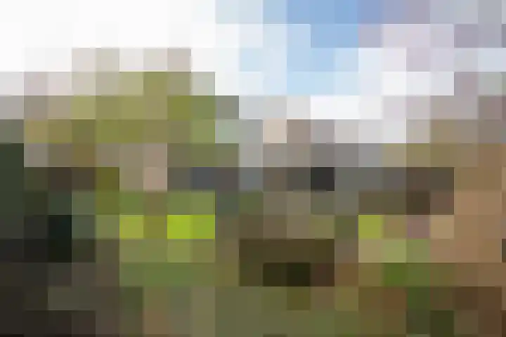 Kastanjelaan 13 Wierden thumbnail 61