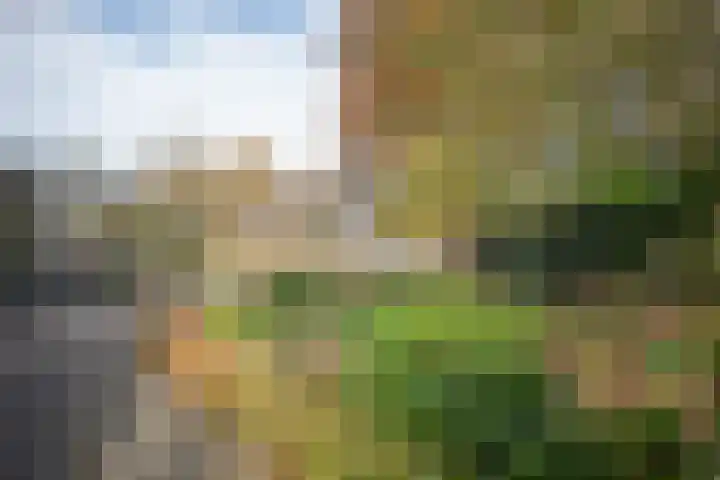 Kastanjelaan 13 Wierden thumbnail 62