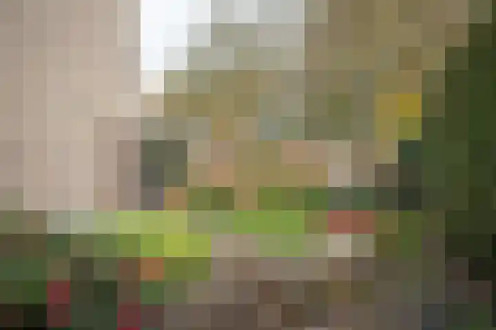 Kastanjelaan 13 Wierden thumbnail 64