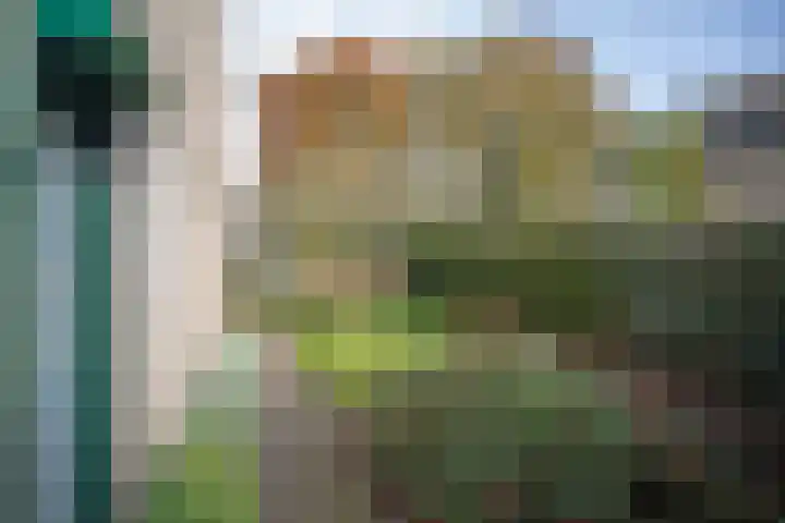 Kastanjelaan 13 Wierden thumbnail 65