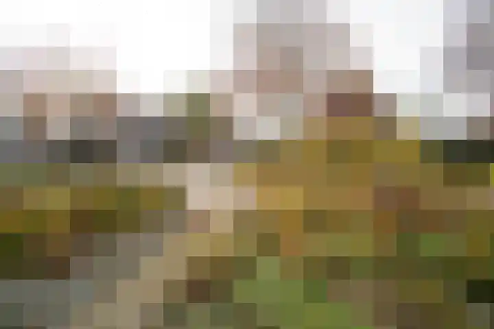 Kastanjelaan 13 Wierden thumbnail 67