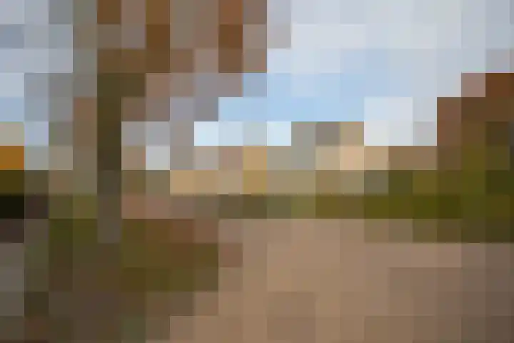 Kastanjelaan 13 Wierden thumbnail 68
