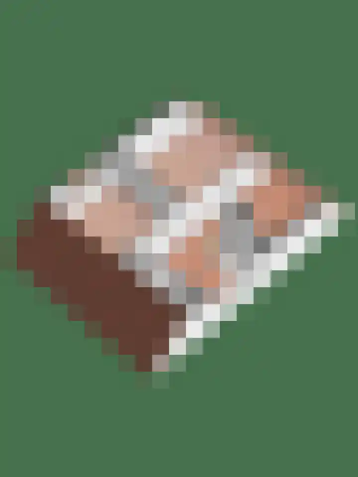 Kastanjelaan 13 Wierden thumbnail 74