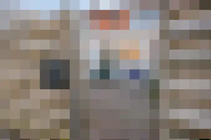 Kastanjelaan 133 Winschoten thumbnail 12