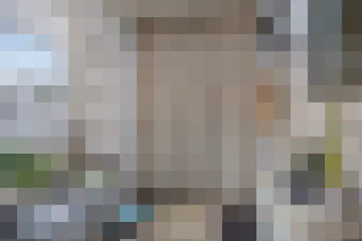 Kastanjelaan 133 Winschoten thumbnail 17