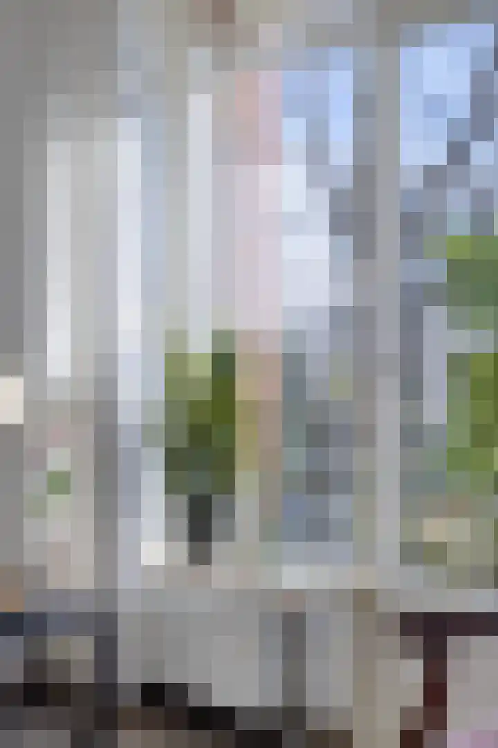 Kastanjelaan 133 Winschoten thumbnail 26