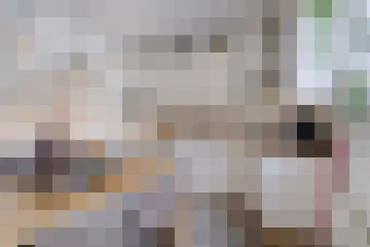 Kastanjelaan 133 Winschoten thumbnail 31