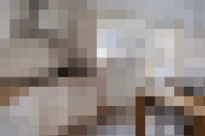 Kastanjelaan 133 Winschoten thumbnail 35