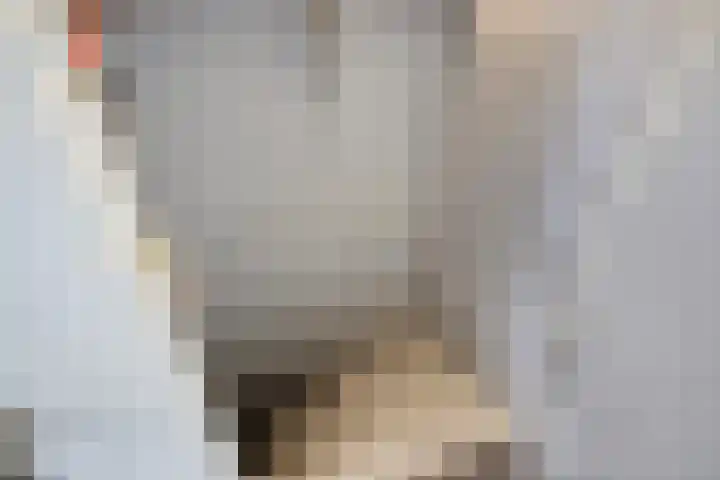 Kastanjelaan 133 Winschoten thumbnail 38