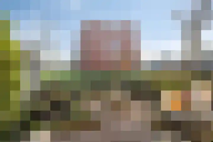 Kastanjelaan 133 Winschoten thumbnail 4