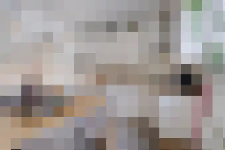Kastanjelaan 133 Winschoten thumbnail 5