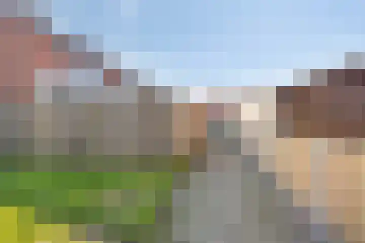 Kastanjelaan 133 Winschoten thumbnail 51