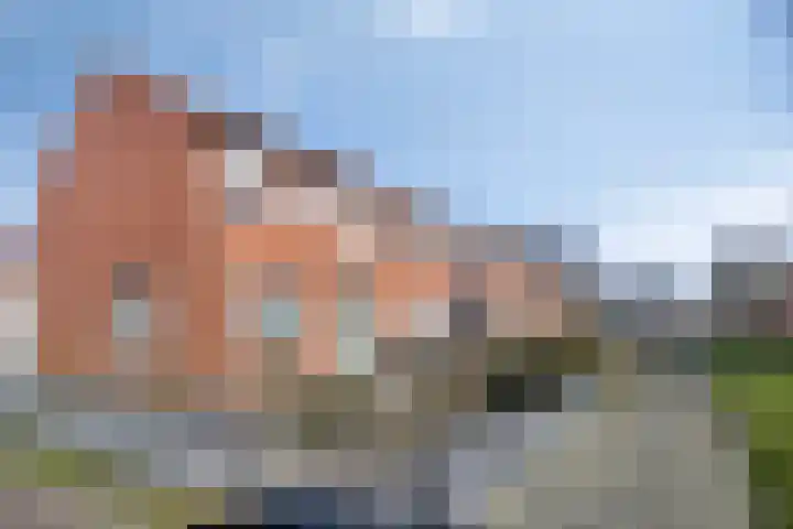 Kastanjelaan 133 Winschoten thumbnail 53