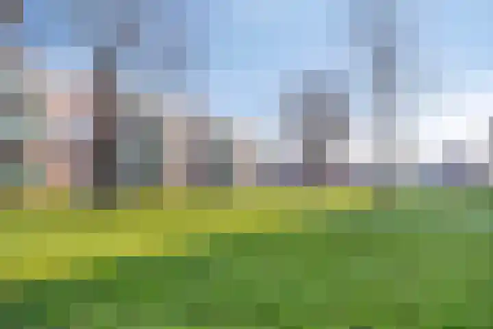 Kastanjelaan 133 Winschoten thumbnail 54