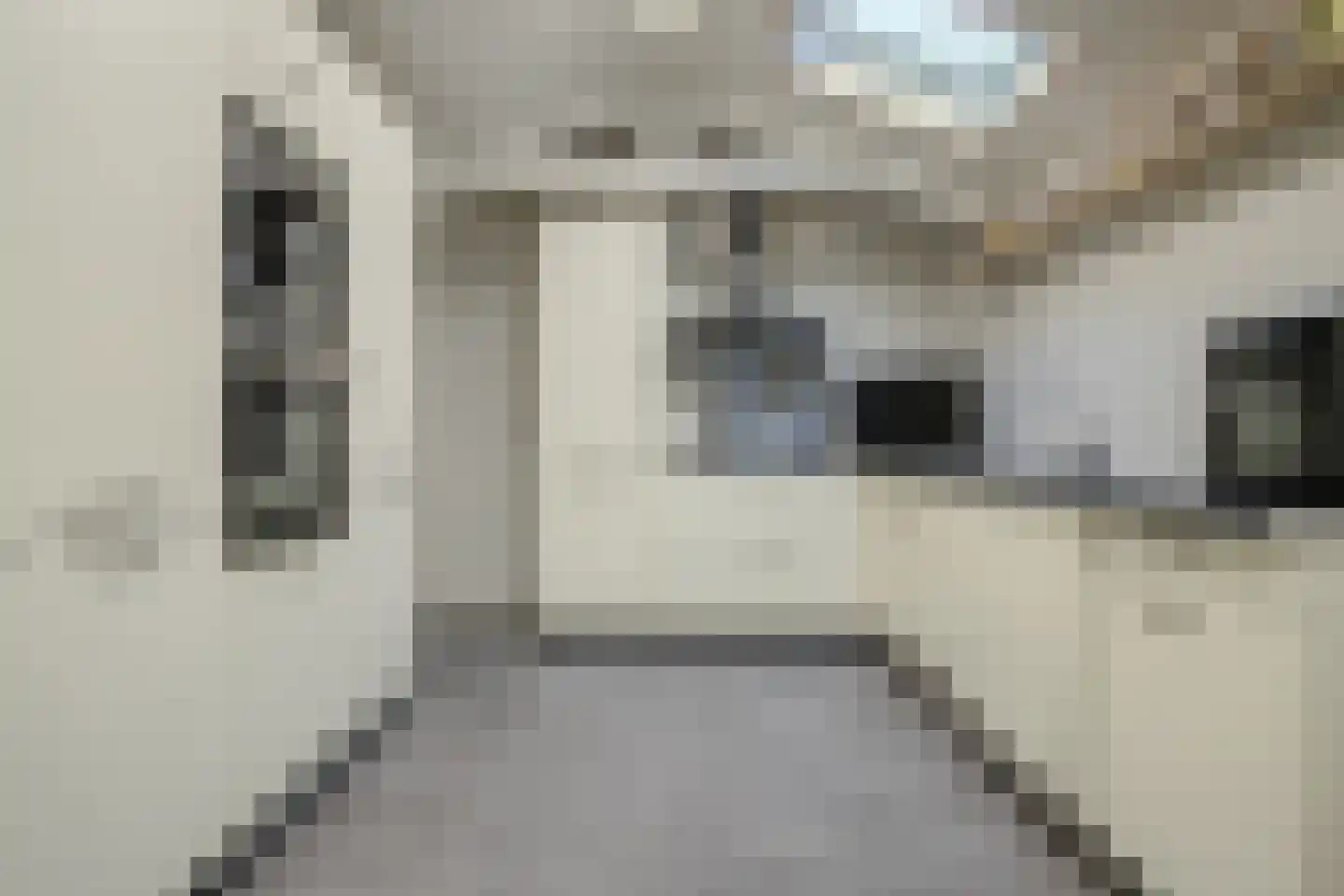 Kastanjelaan 138 Hoensbroek thumbnail 24
