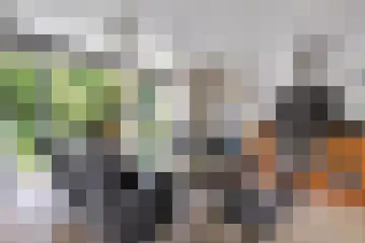Kastanjelaan 14 Aadorp thumbnail 11