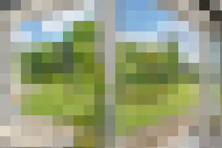 Kastanjelaan 14 Aadorp thumbnail 13