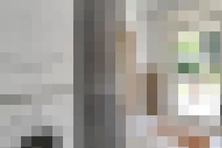 Kastanjelaan 14 Aadorp thumbnail 14