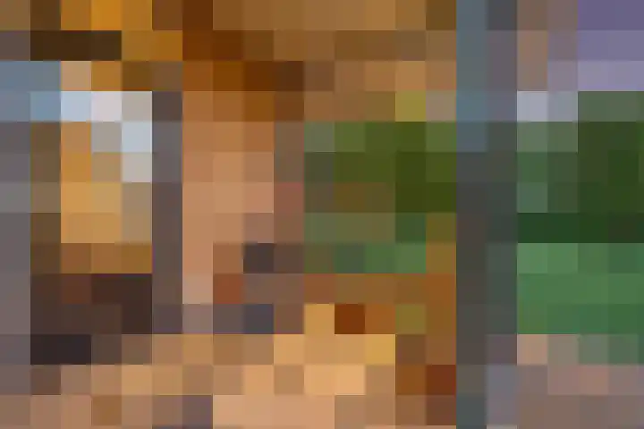 Kastanjelaan 14 Aadorp thumbnail 28