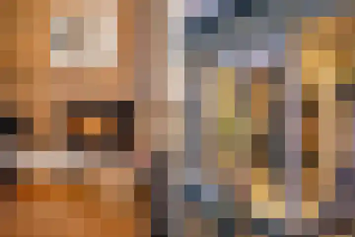 Kastanjelaan 14 Aadorp thumbnail 29