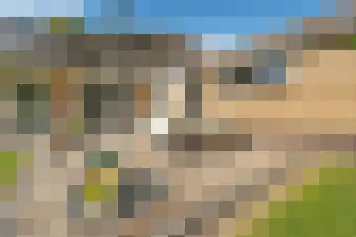 Kastanjelaan 14 Aadorp thumbnail 30