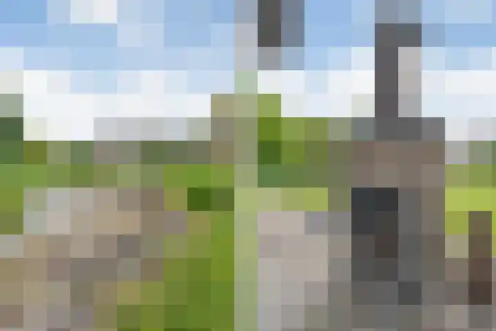 Kastanjelaan 14 Aadorp thumbnail 32