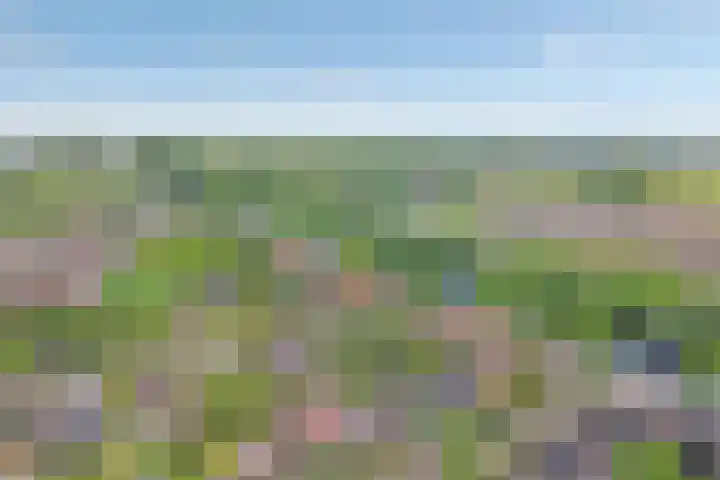 Kastanjelaan 14 Aadorp thumbnail 34