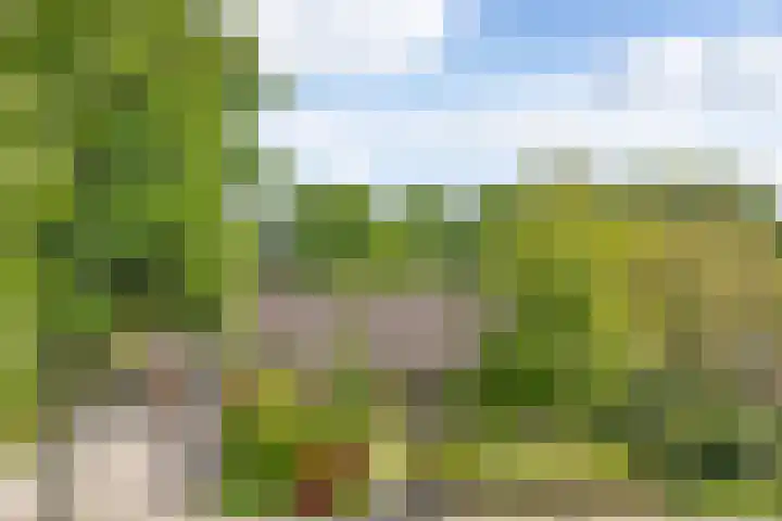 Kastanjelaan 14 Aadorp thumbnail 5